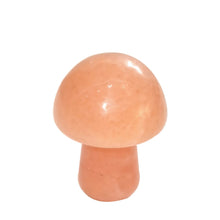 Load image into Gallery viewer, Natural Stone & Crystal Mushrooms