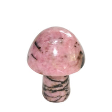 Load image into Gallery viewer, Natural Stone & Crystal Mushrooms
