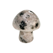 Load image into Gallery viewer, Natural Stone & Crystal Mushrooms