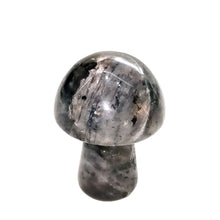 Load image into Gallery viewer, Natural Stone & Crystal Mushrooms
