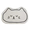Load image into Gallery viewer, Non-slip Cute Cat Floor Mat/Doormat
