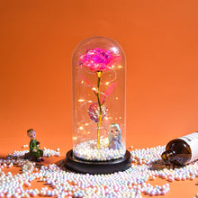 Load image into Gallery viewer, Beauty and the Beast Rose Collection
