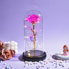 Load image into Gallery viewer, Beauty and the Beast Rose Collection
