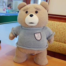 Load image into Gallery viewer, Ted 2 Push Toy Collection 45cm; 8 Styles
