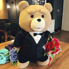 Load image into Gallery viewer, Ted 2 Push Toy Collection 45cm; 8 Styles
