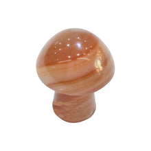 Load image into Gallery viewer, Natural Stone &amp; Crystal Mushrooms
