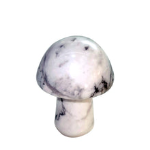 Load image into Gallery viewer, Natural Stone &amp; Crystal Mushrooms
