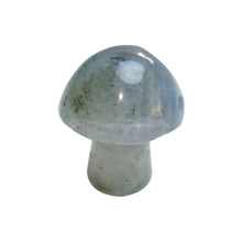 Load image into Gallery viewer, Natural Stone &amp; Crystal Mushrooms
