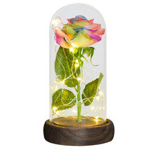 Load image into Gallery viewer, Beauty and the Beast Rose Collection
