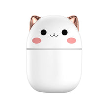 Load image into Gallery viewer, 200ml Cold Mist Air Humidifier/Aroma Diffuser with Light for Bedroom
